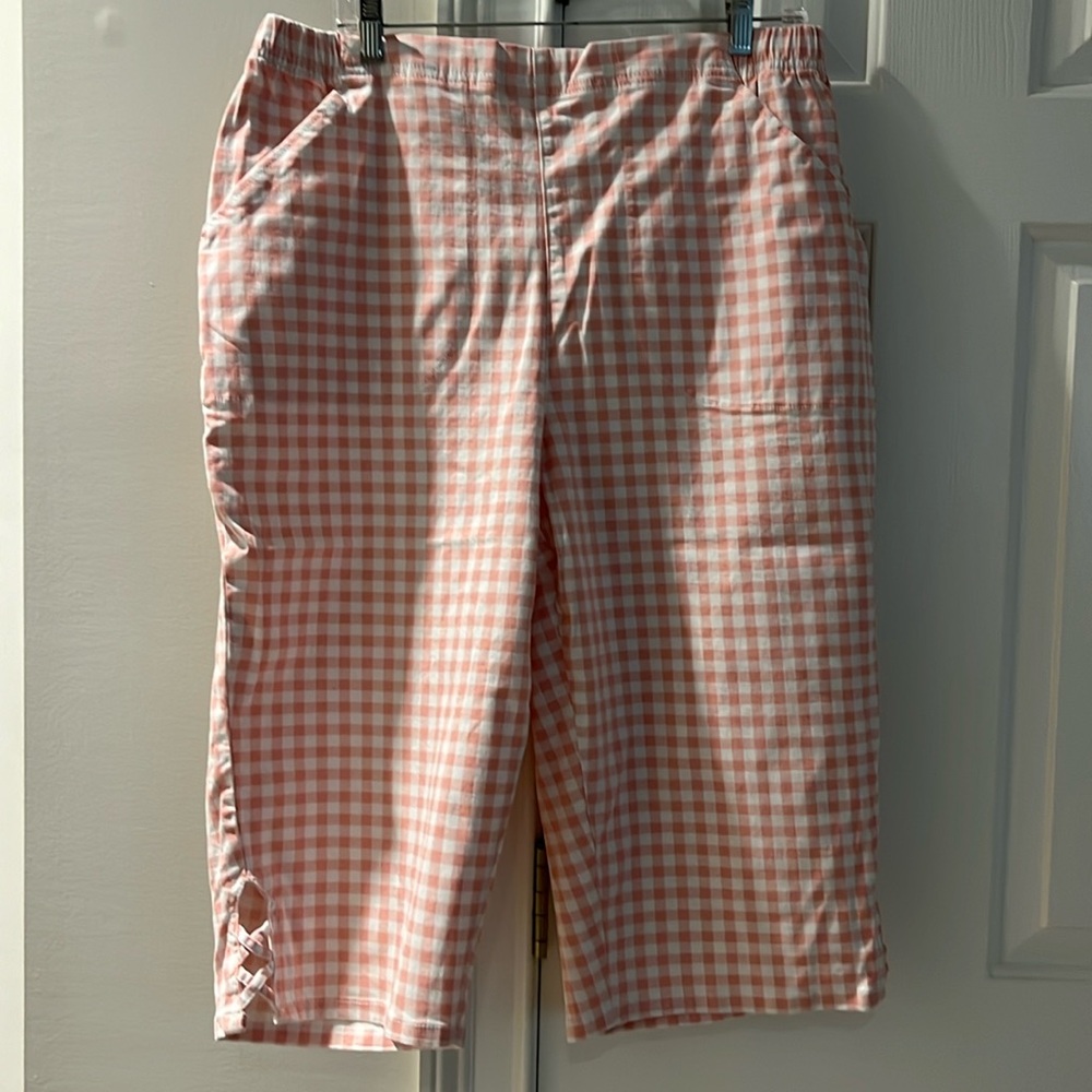 BNWT pink gingham skimmers